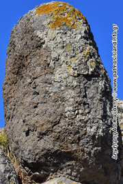 Πατινός Βώλαξ