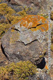 Πάτμος Βράχοι και Βράχια